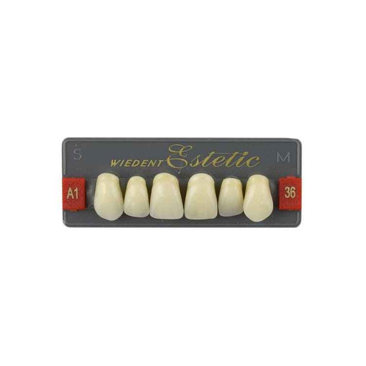 Acrylic teeth upper anteriors no 36, color A1, 6 pieces – oficiali Falcon Medical produkto nuotrauka