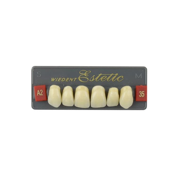 Acrylic teeth upper anteriors no 35, color A2, 6 pieces – oficiali Falcon Medical produkto nuotrauka