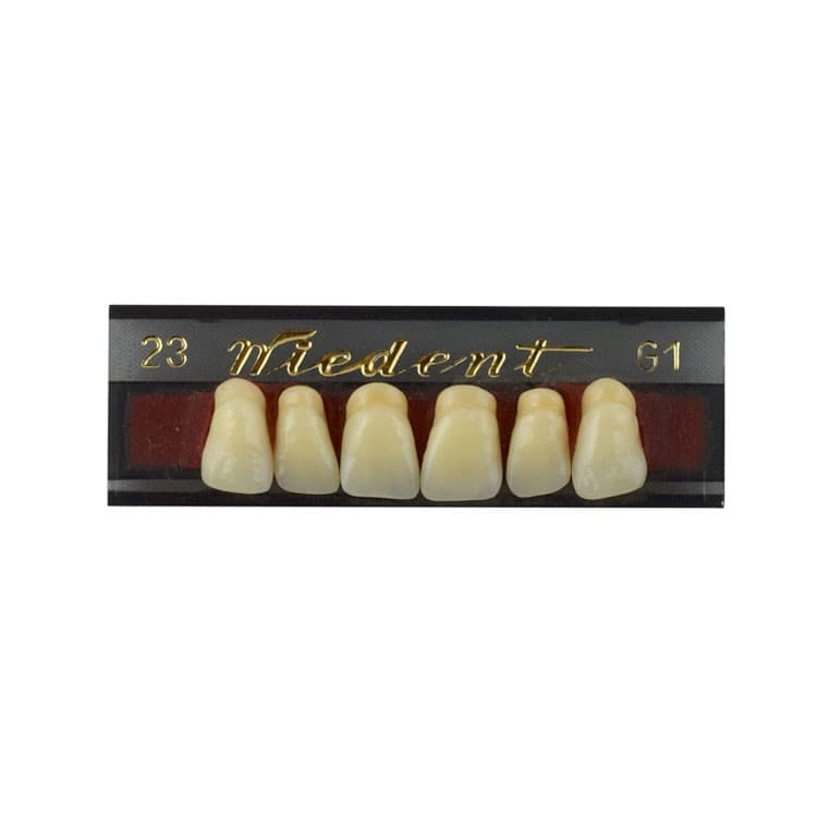 Acrylic teeth upper anteriors no 23, color G1, 6 pieces – oficiali Falcon Medical produkto nuotrauka