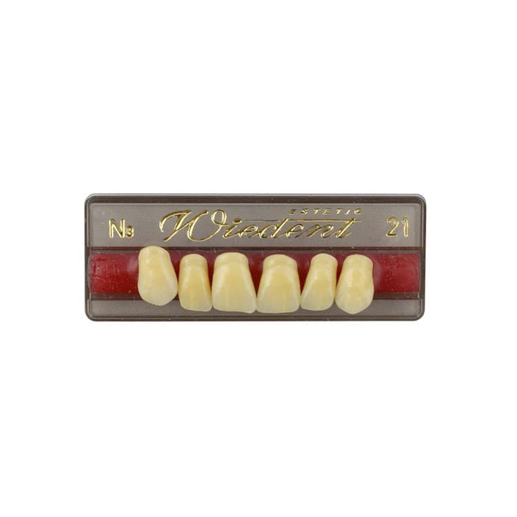 Acrylic teeth upper anteriors no 21, color N3, 6 pieces – oficiali Falcon Medical produkto nuotrauka