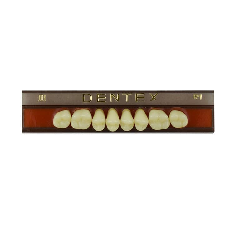 Acrylic teeth upper posteriors no III , color R1, 8 pieces – oficiali Falcon Medical produkto nuotrauka