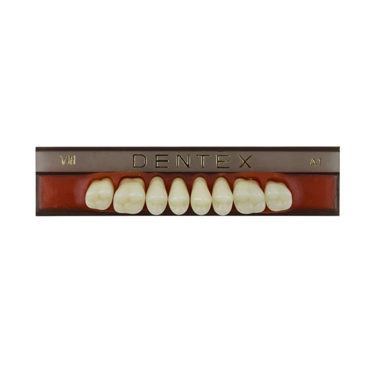 Acrylic teeth upper posteriors no VIII , color A1, 8 pieces – oficiali Falcon Medical produkto nuotrauka