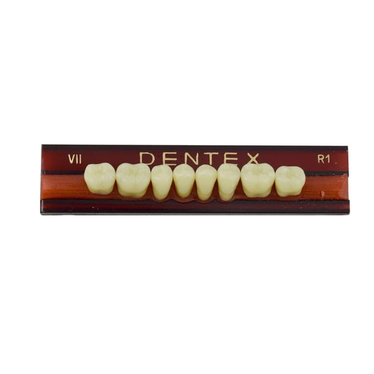 Acrylic teeth lower posteriors no VII , color R1, 8 pieces – oficiali Falcon Medical produkto nuotrauka