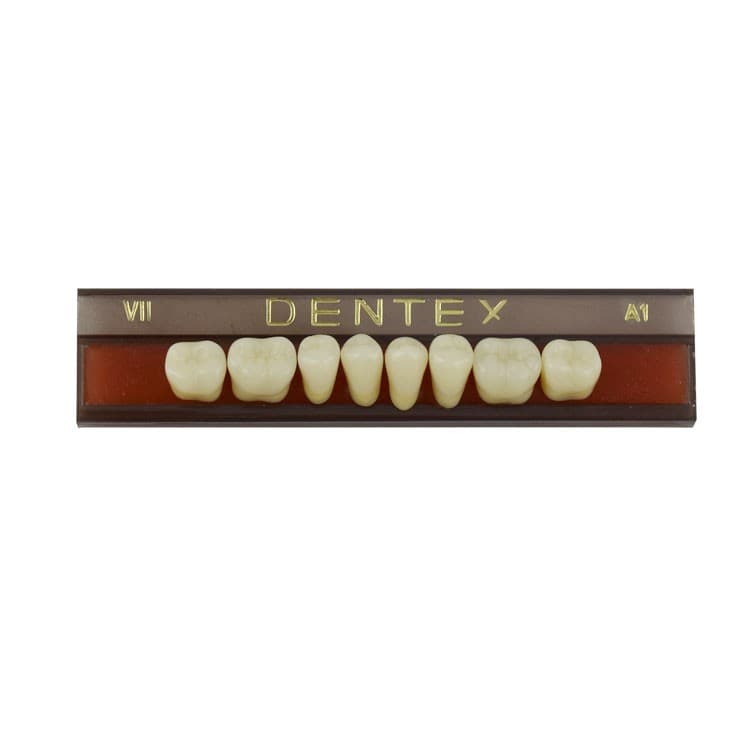 Acrylic teeth lower posteriors no VII , color A1, 8 pieces – oficiali Falcon Medical produkto nuotrauka