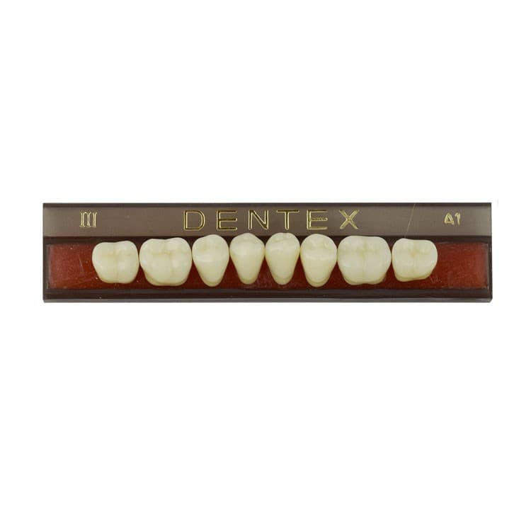 Acrylic teeth lower posteriors no III , color A1, 8 pieces – oficiali Falcon Medical produkto nuotrauka