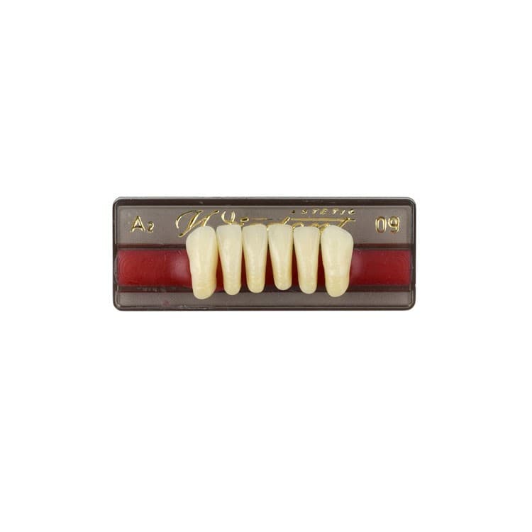 Acrylic teeth lower anteriors no 09, color A2, 6 pieces – oficiali Falcon Medical produkto nuotrauka