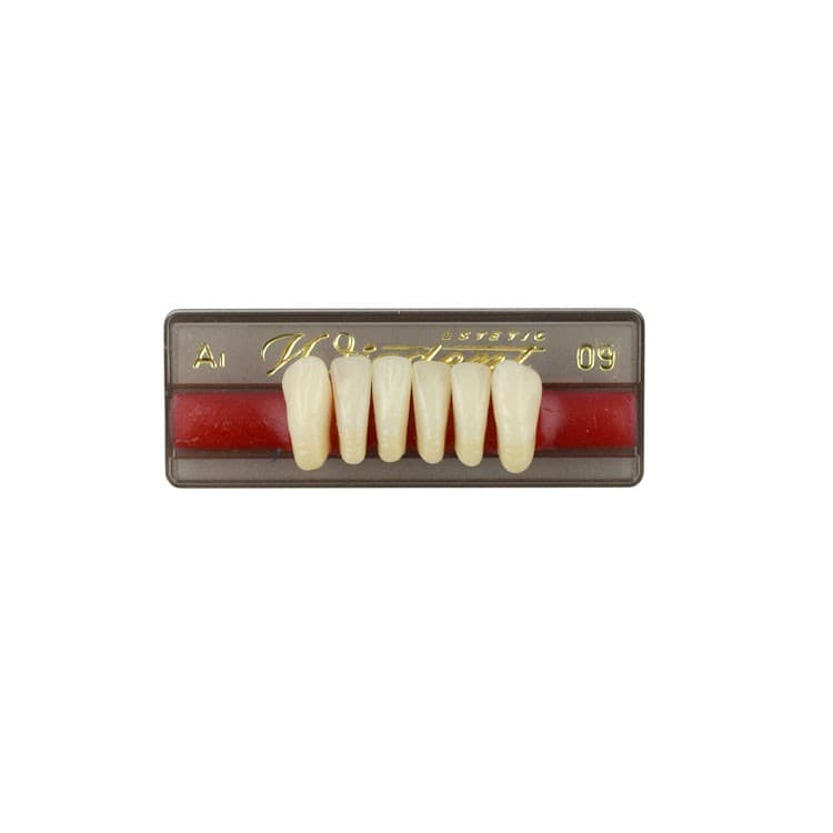 Acrylic teeth lower anteriors no 09, color A1, 6 pieces – oficiali Falcon Medical produkto nuotrauka
