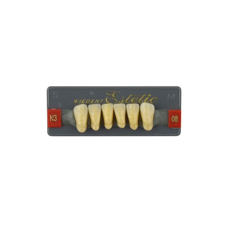 Acrylic teeth lower anteriors no 08, color N3, 6 pieces – oficiali Falcon Medical produkto nuotrauka