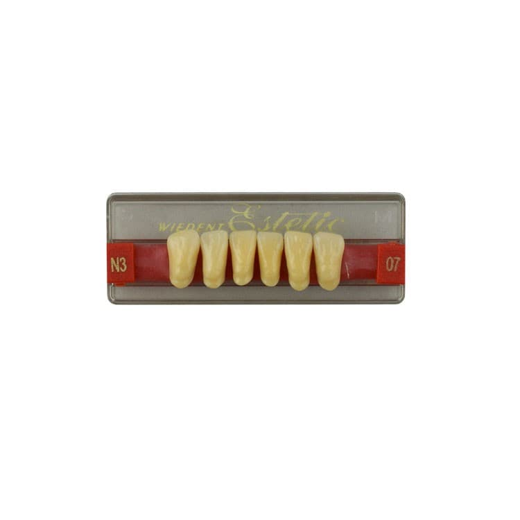 Acrylic teeth lower anteriors no 07, color N3, 6 pieces – oficiali Falcon Medical produkto nuotrauka