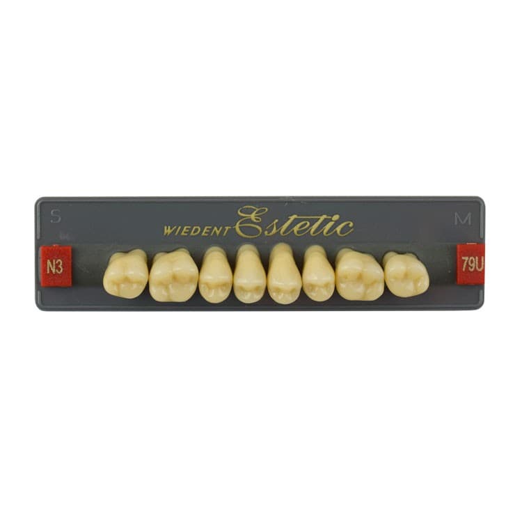 Acrylic teeth upper posteriors no 79 , color N3, 8 pieces – oficiali Falcon Medical produkto nuotrauka