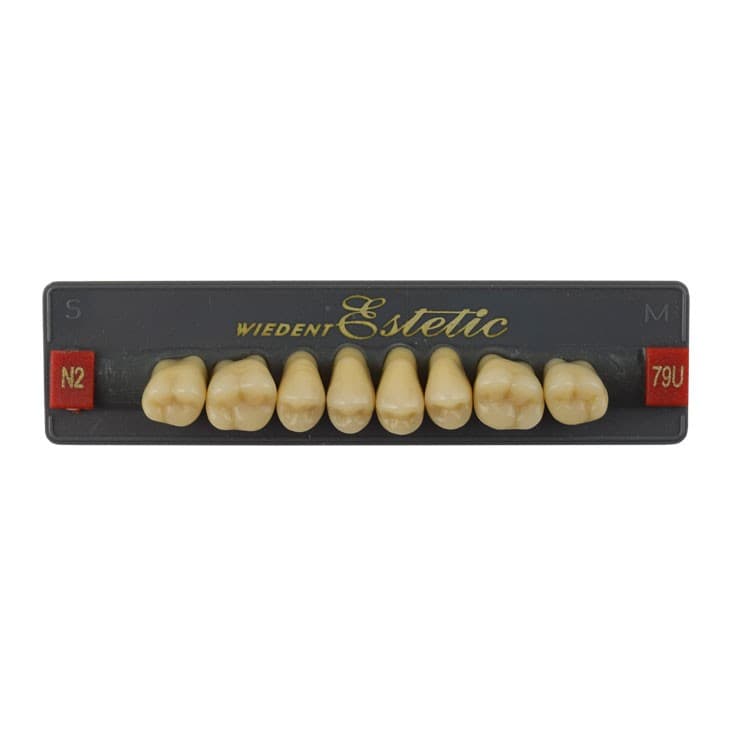 Acrylic teeth upper posteriors no 79 , color N2, 8 pieces – oficiali Falcon Medical produkto nuotrauka