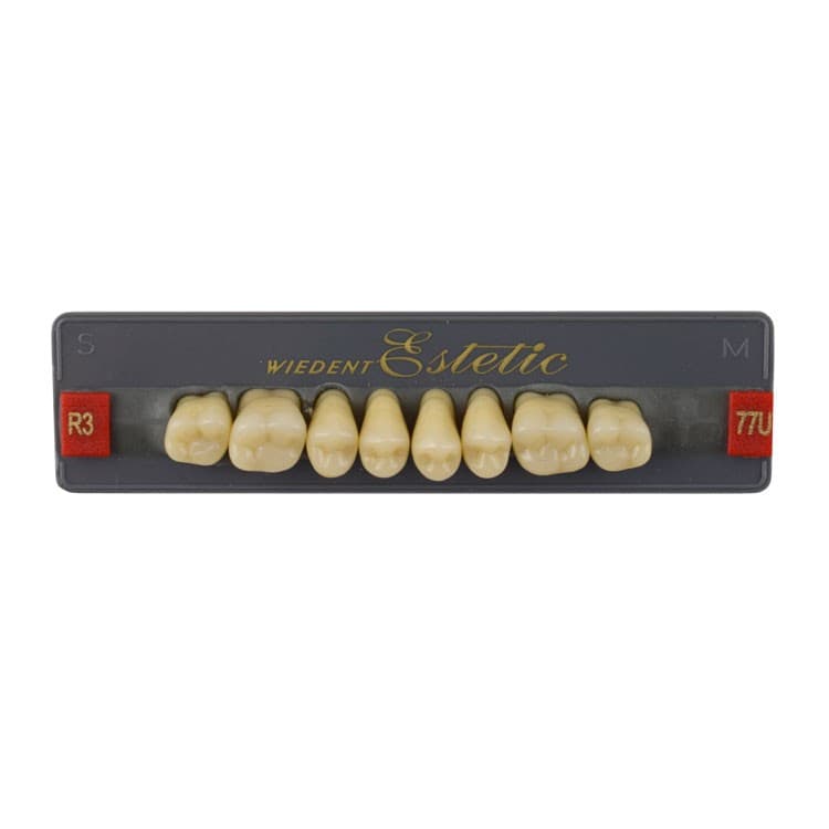 Acrylic teeth upper posteriors no 77 , color R3, 8 pieces – oficiali Falcon Medical produkto nuotrauka