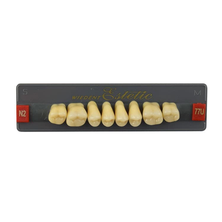 Acrylic teeth upper posteriors no 77 , color N2, 8 pieces – oficiali Falcon Medical produkto nuotrauka