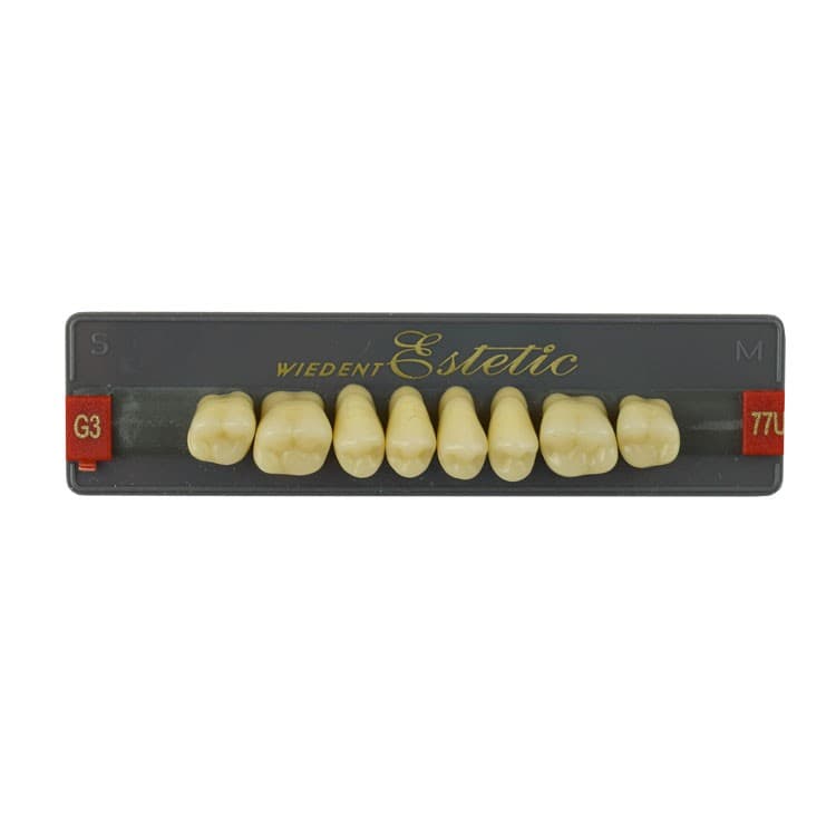 Acrylic teeth upper posteriors no 77 , color G3, 8 pieces – oficiali Falcon Medical produkto nuotrauka