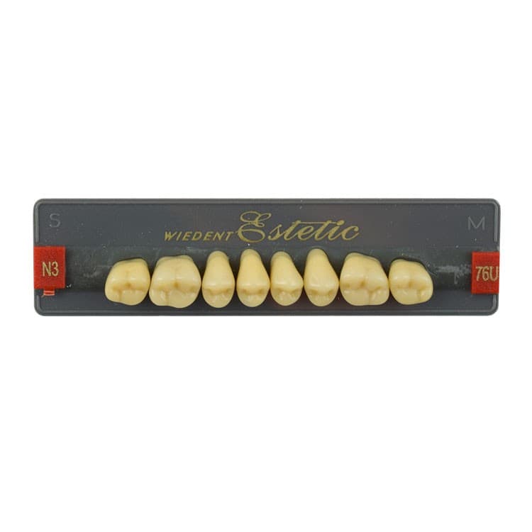 Acrylic teeth upper posteriors no 76 , color N3, 8 pieces – oficiali Falcon Medical produkto nuotrauka