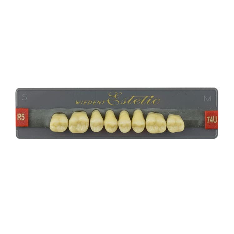 Acrylic teeth upper posteriors no 74 , color R5, 8 pieces – oficiali Falcon Medical produkto nuotrauka