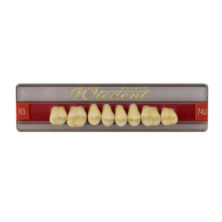 Acrylic teeth upper posteriors no 74 , color R3, 8 pieces – oficiali Falcon Medical produkto nuotrauka
