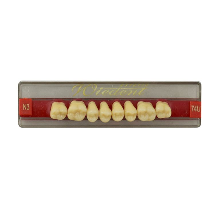 Acrylic teeth upper posteriors no 74 , color N3, 8 pieces – oficiali Falcon Medical produkto nuotrauka