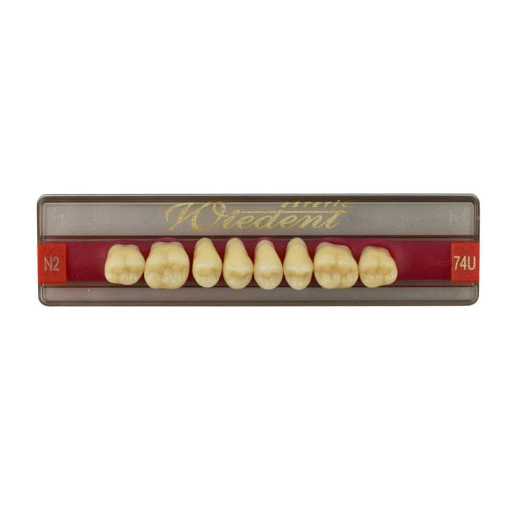 Acrylic teeth upper posteriors no 74 , color N2, 8 pieces – oficiali Falcon Medical produkto nuotrauka