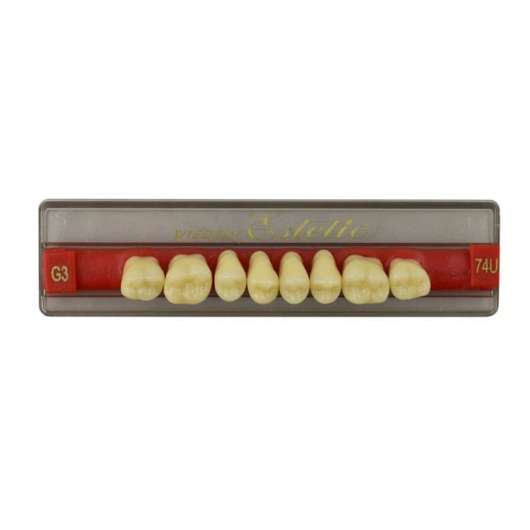 Acrylic teeth upper posteriors no 74 , color G3, 8 pieces – oficiali Falcon Medical produkto nuotrauka