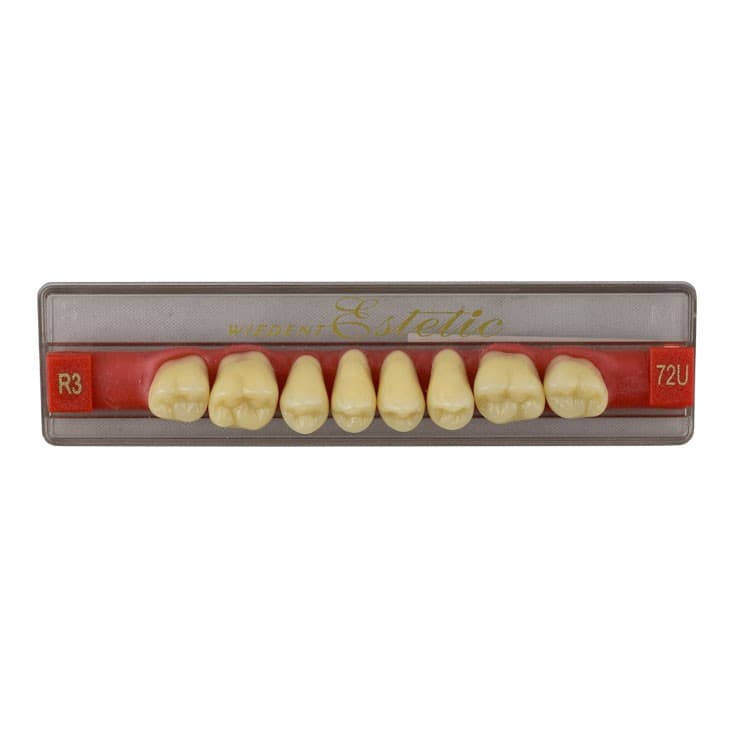 Acrylic teeth upper posteriors no 72 , color R3, 8 pieces – oficiali Falcon Medical produkto nuotrauka