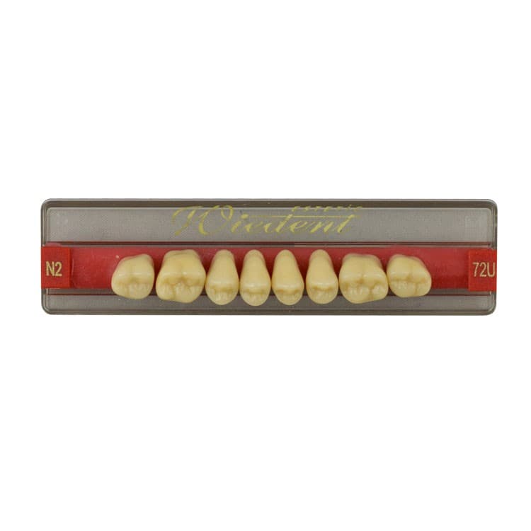 Acrylic teeth upper posteriors no 72 , color N2, 8 pieces – oficiali Falcon Medical produkto nuotrauka