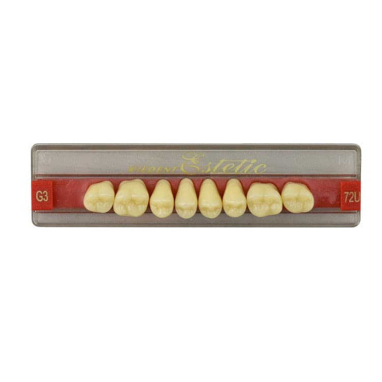 Acrylic teeth upper posteriors no 72 , color G3, 8 pieces – oficiali Falcon Medical produkto nuotrauka