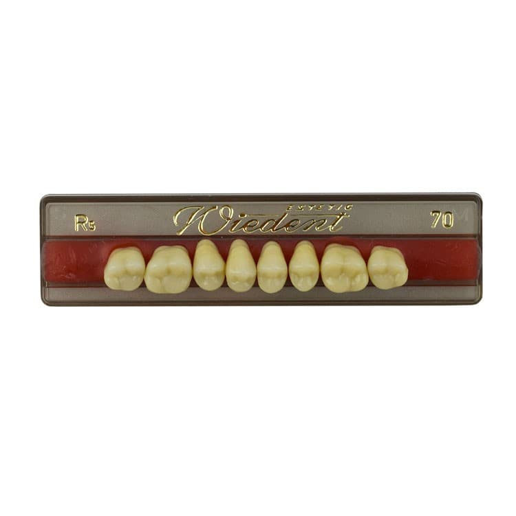 Acrylic teeth upper posteriors no 70 , color R5, 8 pieces – oficiali Falcon Medical produkto nuotrauka