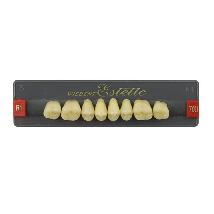 Acrylic teeth upper posteriors no 70 , color R1, 8 pieces – oficiali Falcon Medical produkto nuotrauka