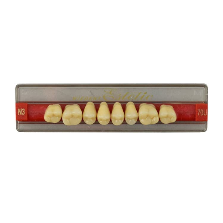 Acrylic teeth upper posteriors no 70 , color N3, 8 pieces – oficiali Falcon Medical produkto nuotrauka