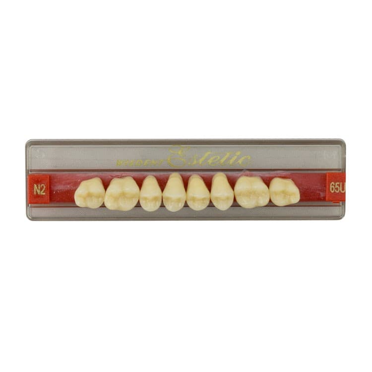 Acrylic teeth upper posteriors no 65 , color N2, 8 pieces – oficiali Falcon Medical produkto nuotrauka