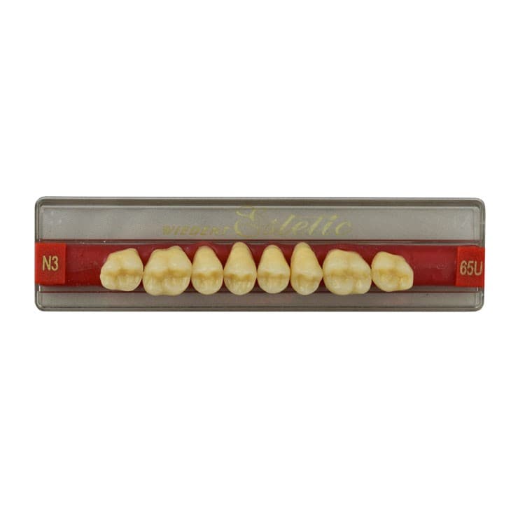 Acrylic teeth upper posteriors no 65 , color N3, 8 pieces – oficiali Falcon Medical produkto nuotrauka
