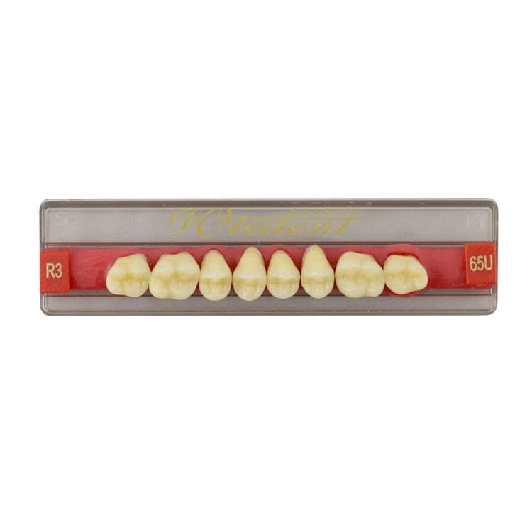 Acrylic teeth upper posteriors no 65 , color R3, 8 pieces – oficiali Falcon Medical produkto nuotrauka