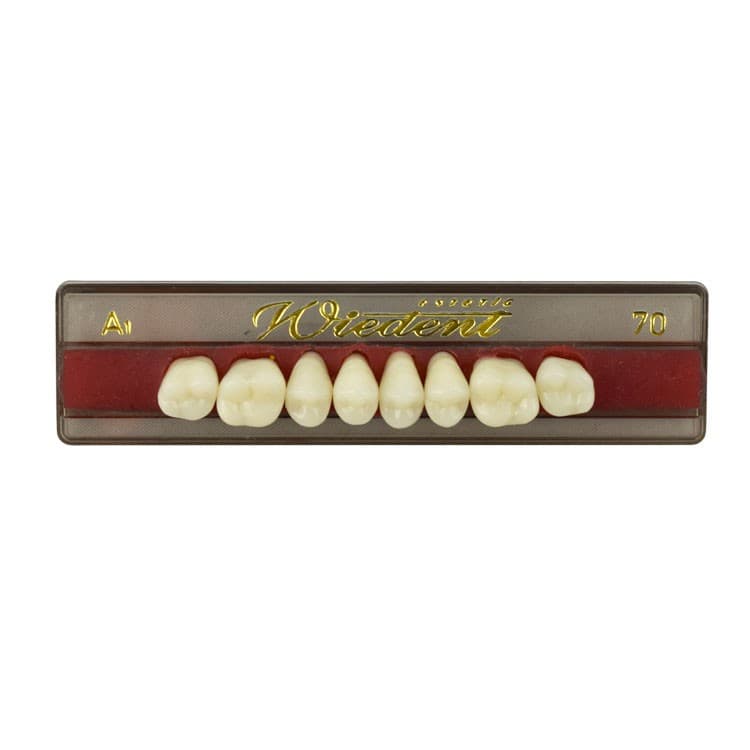 Acrylic teeth upper posteriors no 70 , color A1, 8 pieces – oficiali Falcon Medical produkto nuotrauka