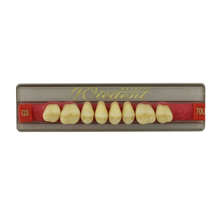 Acrylic teeth upper posteriors no 70 , color G3, 8 pieces – oficiali Falcon Medical produkto nuotrauka
