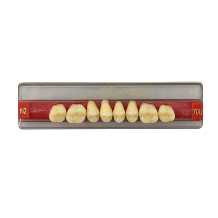 Acrylic teeth upper posteriors no 70 , color N2, 8 pieces – oficiali Falcon Medical produkto nuotrauka