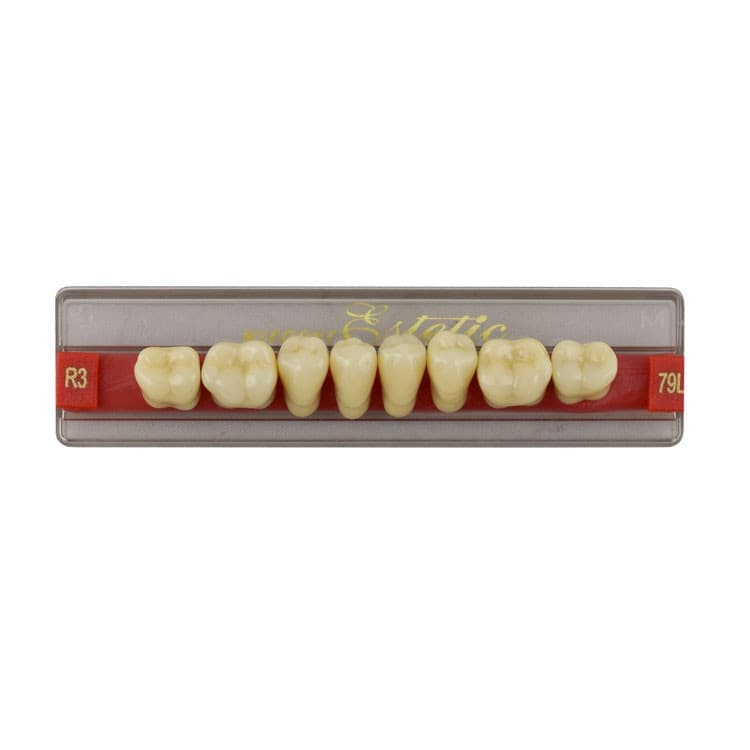 Acrylic teeth lower posteriors no 79 , color R3, 8 pieces – oficiali Falcon Medical produkto nuotrauka