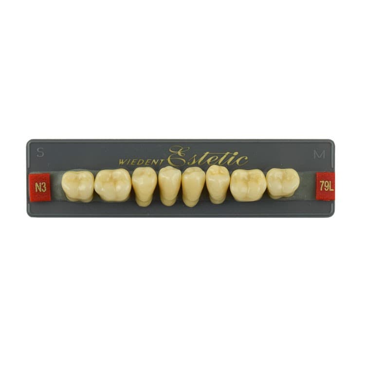 Acrylic teeth lower posteriors no 79 , color N3, 8 pieces – oficiali Falcon Medical produkto nuotrauka