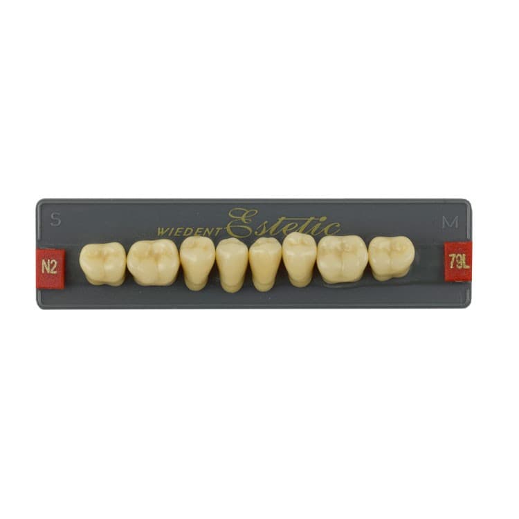 Acrylic teeth lower posteriors no 79 , color N2, 8 pieces – oficiali Falcon Medical produkto nuotrauka