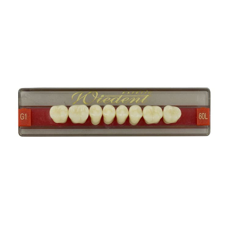 Acrylic teeth lower posteriors no 60 , color G1, 8 pieces – oficiali Falcon Medical produkto nuotrauka