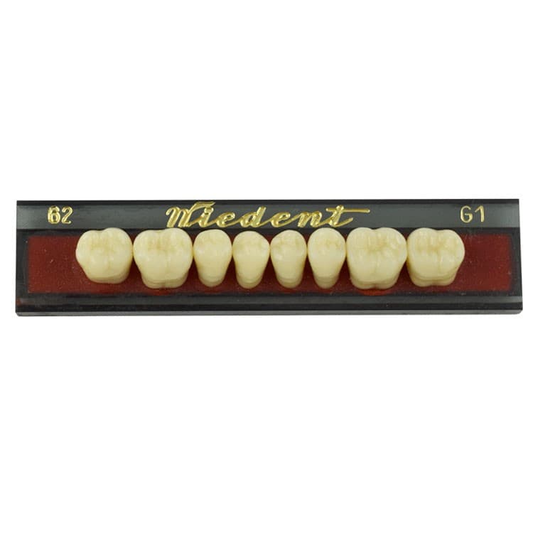 Acrylic teeth lower posteriors no 62 , color G1, 8 pieces – oficiali Falcon Medical produkto nuotrauka