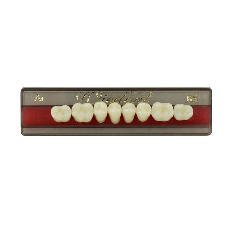 Acrylic teeth lower posteriors no 65 , color A1, 8 pieces – oficiali Falcon Medical produkto nuotrauka