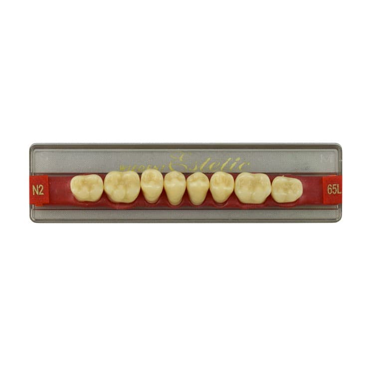 Acrylic teeth lower posteriors no 65 , color N2, 8 pieces – oficiali Falcon Medical produkto nuotrauka