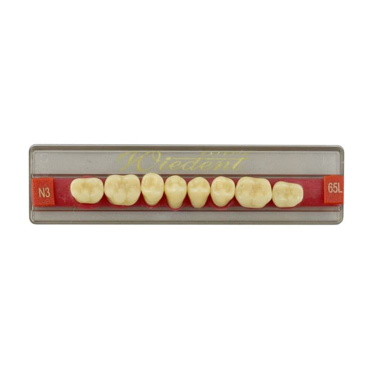 Acrylic teeth lower posteriors no 65 , color N3, 8 pieces – oficiali Falcon Medical produkto nuotrauka