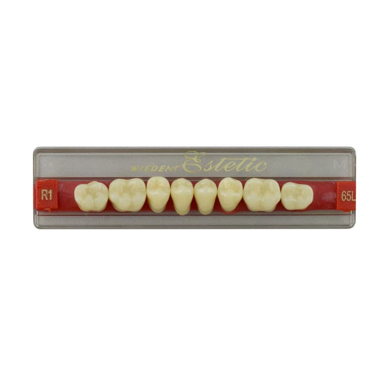 Acrylic teeth lower posteriors no 65 , color R1, 8 pieces – oficiali Falcon Medical produkto nuotrauka