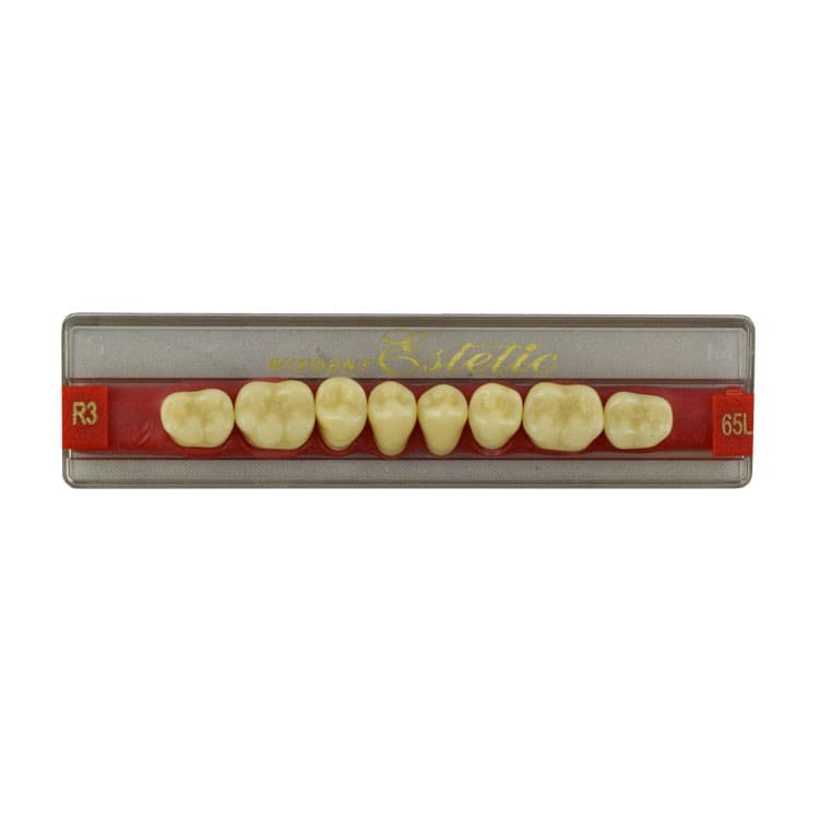 Acrylic teeth lower posteriors no 65 , color R3, 8 pieces – oficiali Falcon Medical produkto nuotrauka
