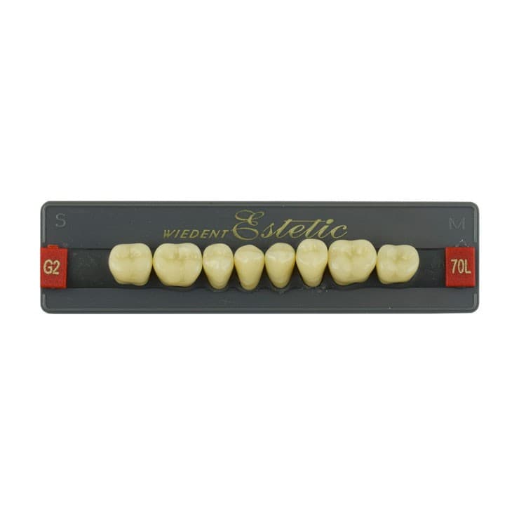 Acrylic teeth lower posteriors no 70 , color G2, 8 pieces – oficiali Falcon Medical produkto nuotrauka