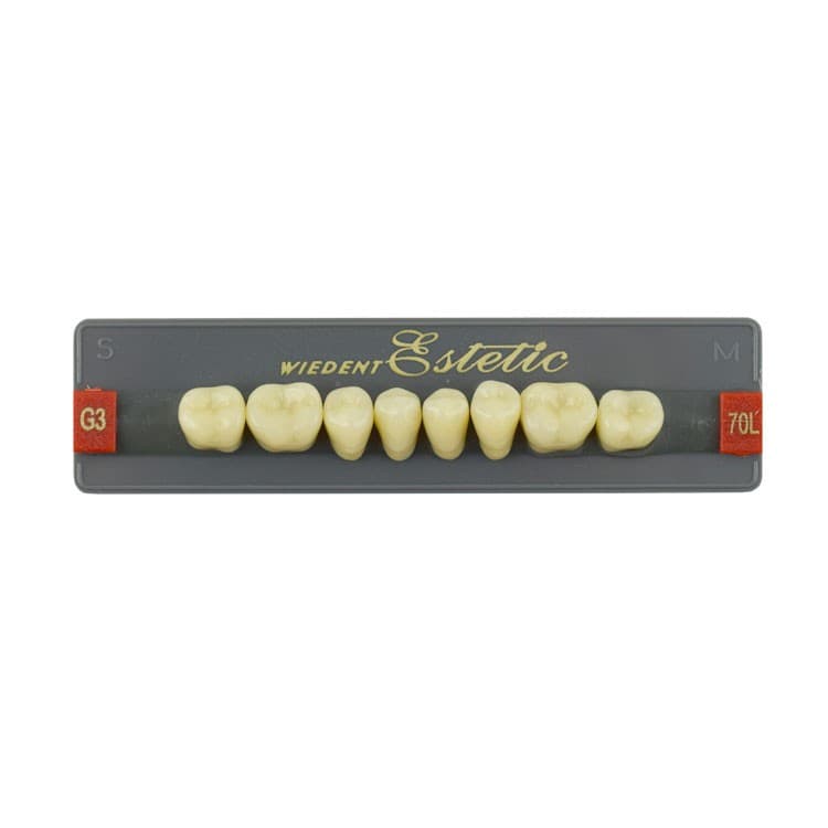Acrylic teeth lower posteriors no 70 , color G3, 8 pieces – oficiali Falcon Medical produkto nuotrauka