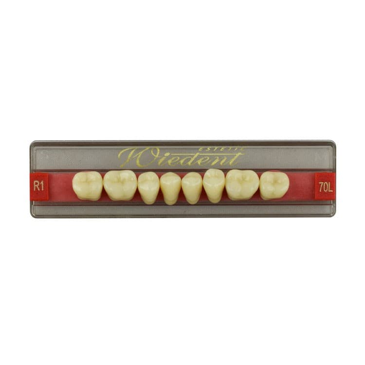 Acrylic teeth lower posteriors no 70 , color R1, 8 pieces – oficiali Falcon Medical produkto nuotrauka