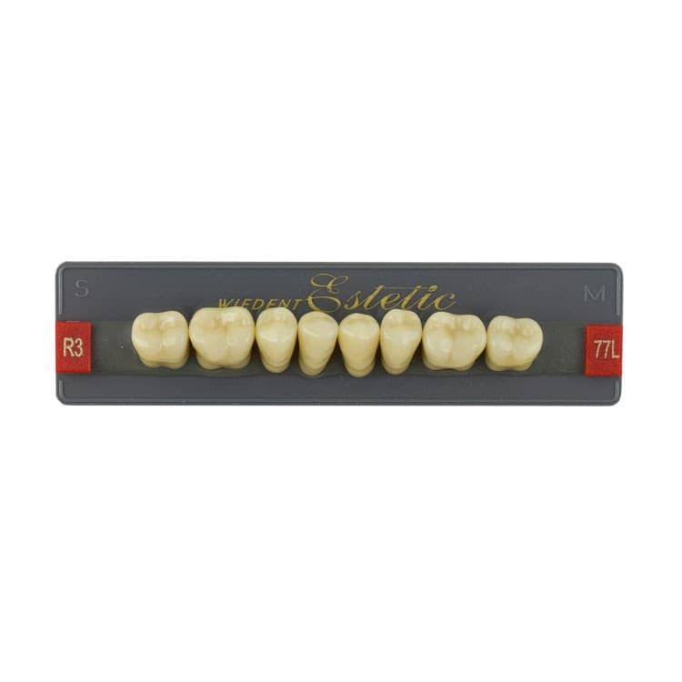 Acrylic teeth lower posteriors no 77 , color R3, 8 pieces – oficiali Falcon Medical produkto nuotrauka